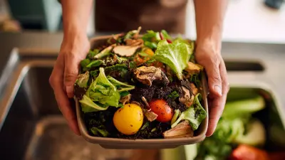 10 Essential Tips for Maximizing Your Countertop Composter Experience